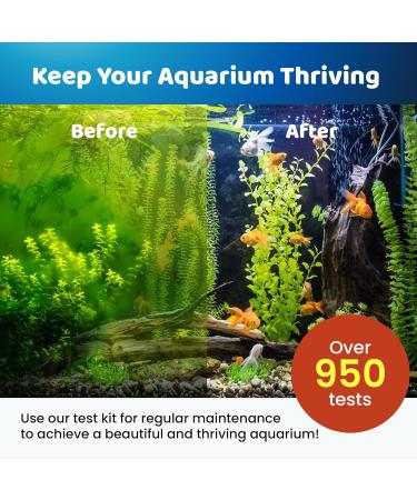 GOLD LABEL PET CARE Freshwater Aquarium Master Test Kit 950+ Tests for pH Ammonia Nitrite & Nitrate Fast & Accurate Water Quality Testing Use Complete Kit - Buy Online on GoSupps.com