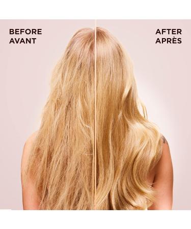 Garnier Whole Blends Gentle Vegan Shampoo Oat Delicacy Soothing and Hydrating For Delicate Hair and Sensitive Scalp Paraben-Free 828 mL Shampoo 828.00 ml (Pack of 1) - Buy Online on GoSupps.com