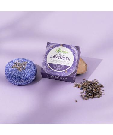 BAMBOEARTH Organic Lavender Solid Shampoo Bar & Conditioner Combo - Natural Plant Based Hair Soap with Zero Waste Packaging - Buy Online on GoSupps.com