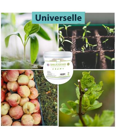 Diatomaceous Earth Bed Bug Usable in Organic Farming 100% Natural and Made in France Cat Wormer Dog Wormer Anti Bed Bugs (1.5kg) - Buy Online on GoSupps.com