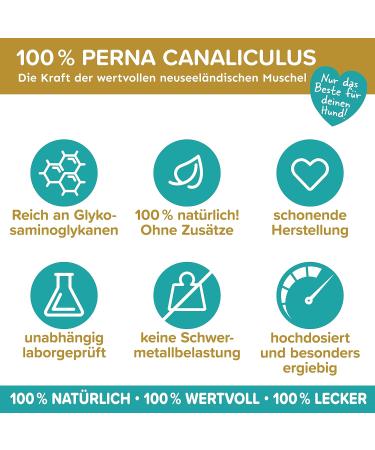 Gr nlippmussel Dog Supplement - 250g Natural Green Lip Powder for Joint Support - Test Winner for Dogs - High Acceptance Green Lip Shell Powder - Buy Online on GoSupps.com