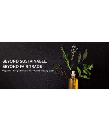 Organic Essiac Tea Powder - 8 Herbs & Sheep Sorrel Roots - Authentic Rene Caisse Recipe - Lymphatic Drainage & Prostate Support - Herbal Body Cleanse - USA & Europe Grown - 16 Qts - Buy Online on GoSupps.com