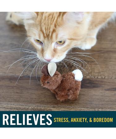 Interactive Cat Toy Set - Play-N-Squeak Barnyard Kitten Toys with Catnip & Real Sound | Cat Stocking Stuffer for Christmas - Buy Online on GoSupps.com