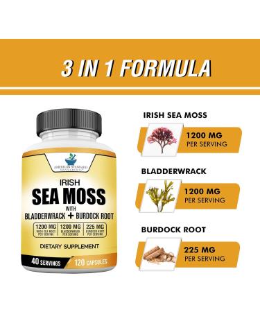 American Standard Supplements Irish Sea Moss, Bladderwrack, and Burdock Root Capsules - 1200mg/1200mg/225mg - Vegan, Gluten Free, Non-GMO - 120 Capsules - Buy Online on GoSupps.com