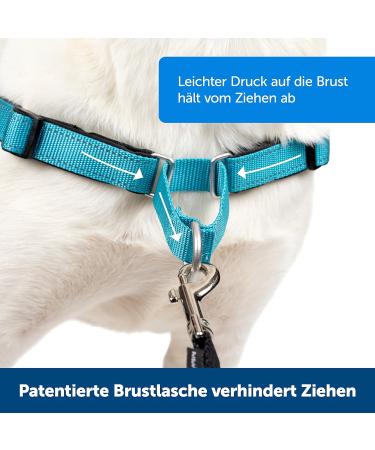 Petsafe Easy Walk Deluxe Harness & 1.8m Leash - Tear-Resistant Dog Running Gear | Small Ocean Blue/Black - Buy Online on GoSupps.com