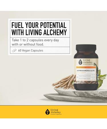 Living Alchemy Ashwagandha Supplement - Fermented Ashwagandha with Bacopa & Turmeric Curcumin Supplement - Sleep Quality Cognitive Mood Support Supplement for Men & Women - Vegan Non-GMO 60 Pcs - Buy Online on GoSupps.com