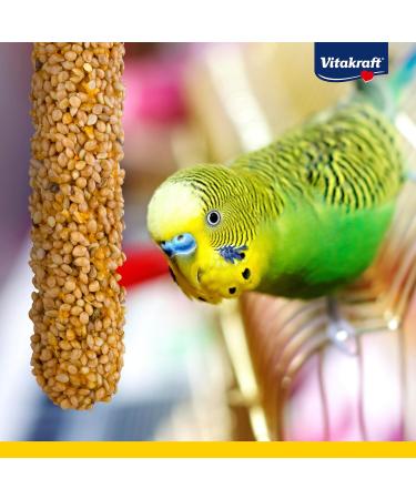 Vitakraft Crackers for Parrots - Honey & Anise Snack Sticks No Added Sugar (2 Pieces) - International Shipping Available - Buy Online on GoSupps.com