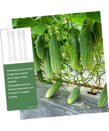 Milisten 15 Pcs Vegetable Shaping Mold Watermelon Forming Machine - Buy Online on GoSupps.com