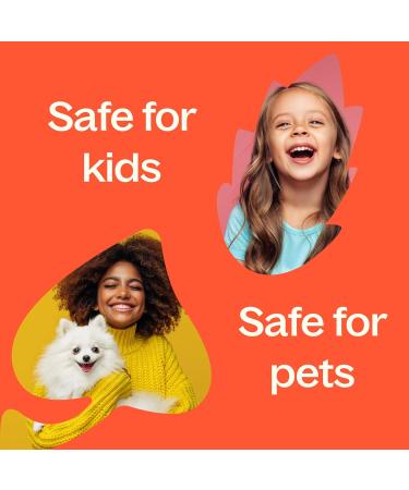 Plant Therapy Anti Age Essential Oil Blend 10 mL (1/3 oz) 100% Pure Undiluted for Fine Lines Wrinkles and Elasticity 0.33 Fl Oz (Pack of 1) - Buy Online on GoSupps.com