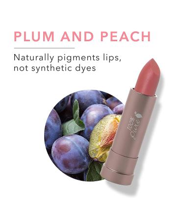 100% Pure Cocoa Butter Matte Lipstick - Long-Lasting Moisturizing Lip Color for All Skin Tones - Vegan Fruit Pigmented Pink Canyon (Dusty Pink) - 0.15 oz - Buy Online on GoSupps.com