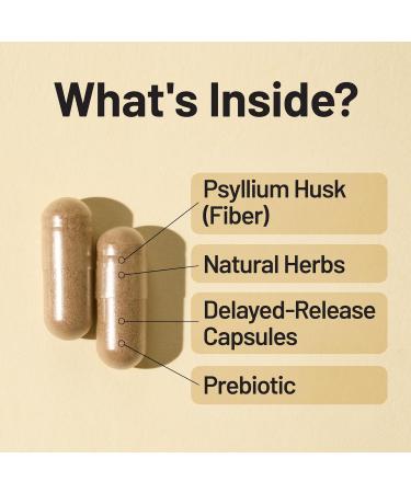 NatureWise 1 Total Colon Care Fiber Cleanse - Natural Laxative - 60 Capsules 30-Day Supply + 1 Liver Balance - Milk Thistle Dandelion Turmeric - 60 Capsules 30-Day Supply  - Buy Online on GoSupps.com