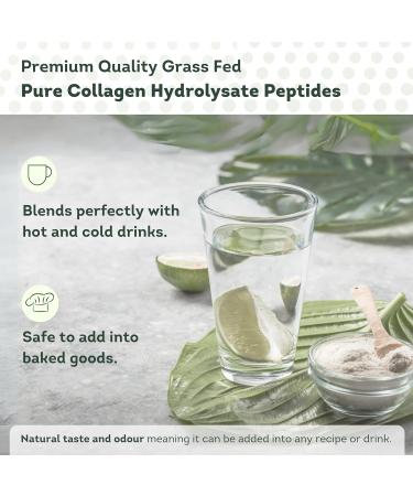 100% Pure Collagen Powder Protein Peptides - General Healthcare 300g Supplement - Buy Online on GoSupps.com