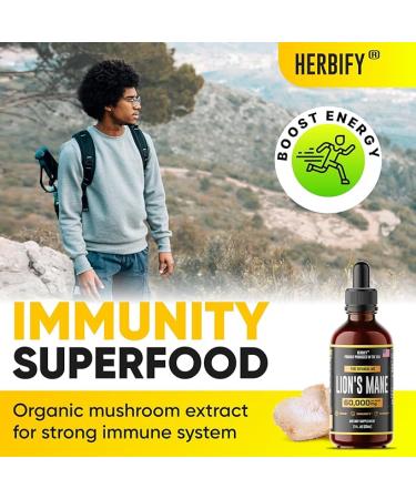 Lions Mane - Lions Mane Mushroom Supplement- Lions Mane Tincture - Natural Immune Support - Lions Mane Tincture for Memory  Focus & Clarity - Daily Mushroom Supplement - Vegan  Organic - 2 Fl oz - Buy Online on GoSupps.com