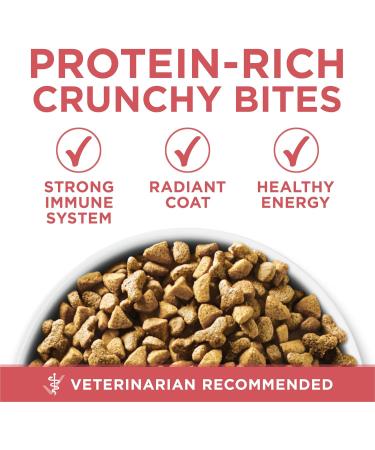 Purina ONE +Plus Dry Cat Food Indoor Advantage Salmon - 3 kg Bag 3 kg (Pack of 1) - Buy Online on GoSupps.com