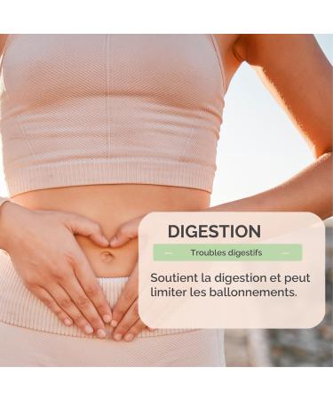 Herbes du Monde - Tisane D tox BIO Certifi e AB 100g - Plantes Naturelles D toxifiantes Infusion Purifiante & Renforce Immunit Soutien du Foie Digestion Vitalit - 1 sachet - Buy Online on GoSupps.com