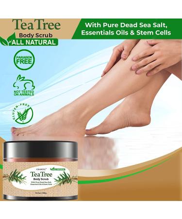 Chamuel Tea Tree Body & Foot Scrub - 100% Natural Exfoliating Scrub with Dead Sea Salt & Plant-based Stem Cells - Ginger & Essential Oils Blend for Rejuvenation & Soothing Dry Skin (15.1oz) - Buy Online on GoSupps.com