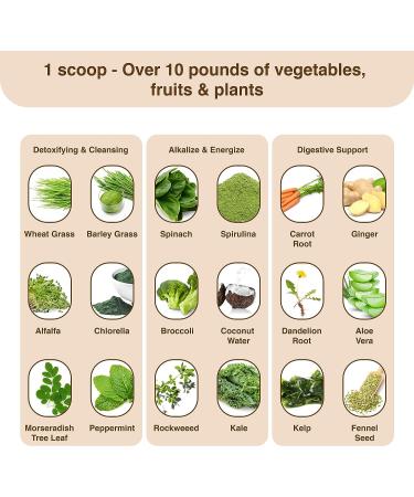 Detox Organics Chocolate Superfood Powder - Cleanse, Detox, and Boost Immunity with Greens Blend - Vegan, Low Carb, Soy/Dairy Free - Buy Online on GoSupps.com