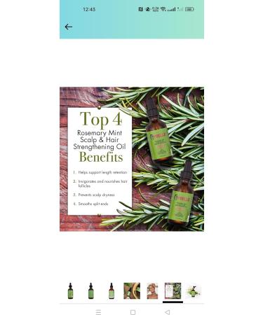 Mielle Rosemary Mint Scalp & Hair Strengthening Oil - 2 fl oz | Biotin & Essential Oils Treatment - Buy Online on GoSupps.com