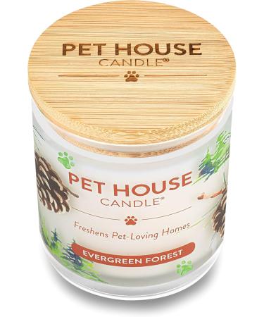 One for All Pet House Candle - Evergreen Forest | 100% Non-Toxic & Eco-Friendly Air Freshener | Remover for Home Odors - Buy Online on GoSupps.com