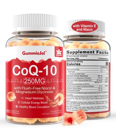 Sugar Free CoQ10 Filled Gummies 250MG Coenzyme Q10 w/ Magnesium Glycinate Niacin No-Flush Vitamin B3 E & Folic Acid High Absorption CoQ10 (Ubiquinone) for Hea-rt Cellular Energy & Antioxidant 60 Count (Pack of 1)