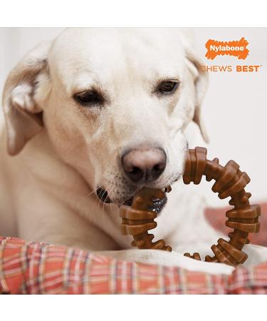 Nylabone Power Chew Textured Ring Dog Chew Toy - X-Large/Souper - Made in USA - Bold Flavor - Aggressive Chewers - Ring Flavor Medley - 1 Count - Buy Online on GoSupps.com