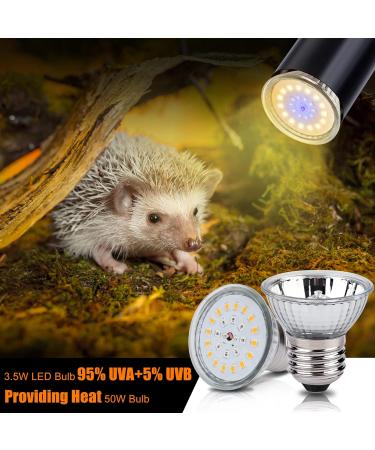 LEDBOCLI 50W UVB Heat Light Bulbs for Aquariums & Reptiles - E27 Clip Lamp for Lizards Turtles & Snakes - Buy Online on GoSupps.com