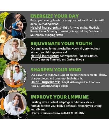 Himalayan Shilajit Capsules:Purified Himalayan Shilajit Extract - Natural Energy & Stamina Support-Vegan Non-GMO Ancient Fulvic Acid & Humic Acid Natural 60 Capsules - Buy Online on GoSupps.com