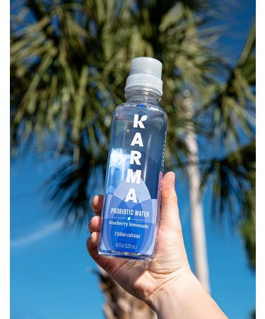 Karma Wellness Blueberry Lemonade Probiotic Water - 12 Pack, 2 Billion Active Cultures, Immunity & Digestive Health, Low Calorie - 18 Fl Oz - Buy Online on GoSupps.com