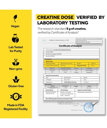 Creatine Monohydrate Gummies for Men & Women - USA Made Monohydrate Creatine for Men 5000mg Per Serving - Supports Energy Levels Training Endurance & Muscle Performance - 90 Gummies 90 Count (Pack of 1) - Buy Online on GoSupps.com