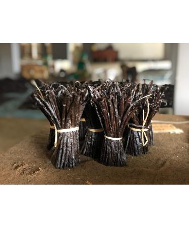 Intervanilla Premium Bourbon Vanilla Pods - 10 Pieces (16-18 cm) | Gourmet A Quality from Madagascar for Cooks & Bakers - Buy Online on GoSupps.com