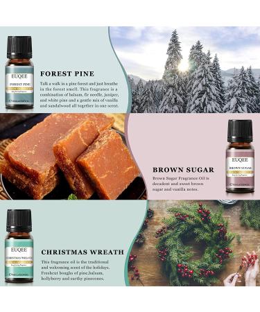 EUQEE Holiday Cheer Fragrance Oils Set - Forest Pine, Christmas Wreath, Brown Sugar, Harvest Spice, Gingerbread, Pumpkin Pie - 10ml Scented Oils for Diffuser and Candle Making - Buy Online on GoSupps.com