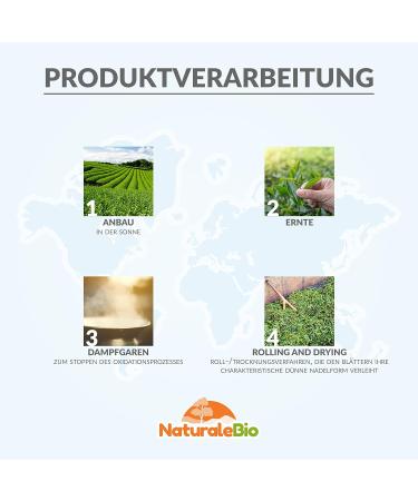 Buy Organic Japanese Sencha Tea - 100g Pure Green Tea Leaves - First Harvest - Naturalbio Bio Product - Buy Online on GoSupps.com