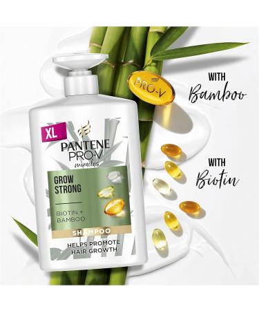 Pantene Grow Strong Shampoo 1L with Biotin and Bamboo - Promotes Hair Growth, Reduces Loss - for Dry, Damaged Hair - Buy Online on GoSupps.com
