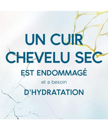 Head & Shoulders Dermaxpro Soothing Rinse-Off Treatment Cream For Dry Itchy Scalp Pack of 6x145 ml - Buy Online on GoSupps.com