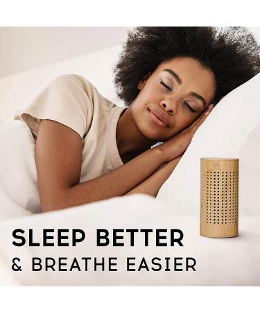 APRAII Charcoal Bag Odor Absorber - Activated Charcoal Bags for Home - Air Purifying & Moisture Absorbing Bamboo Charcoal Purifier - Odor Eliminator & Closet Freshener - Buy Online on GoSupps.com