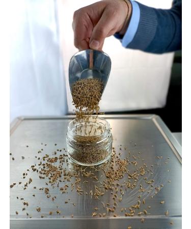 Whole anise seeds 120 g in a reusable and recyclable glass jar. Ideal for preparing sweet and savory dishes. - Buy Online on GoSupps.com