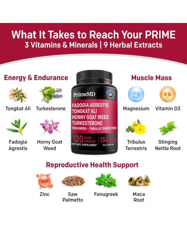 Ceylon Cinnamon (1pk) and Fadogia Tongkat Ali (1pk) Supplement Bundle - Potent Vitamins for Heart Energy Muscle Testosterone & Immune Support - Non-GMO Vegan Gluten-Free - Buy Online on GoSupps.com