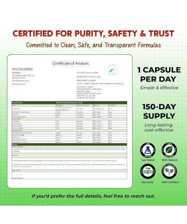 Citrus Bergamot Cinnamon Black Chokeberry Turmeric - Overall Wellness Support - Buy Online on GoSupps.com