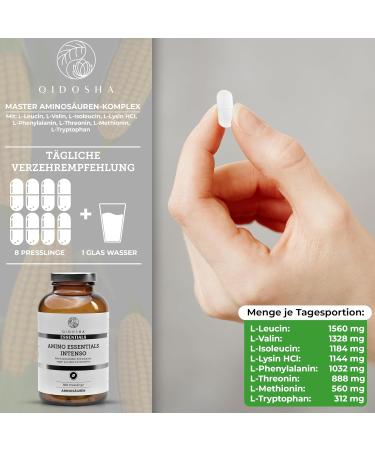 QIDOSHA Master Amino Acids Complex - 100% Vegan 8 Essential Aminos 360 Pressed Tablets 99% Nitrogen Recycling | International Shipping - Buy Online on GoSupps.com