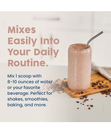 NativePath Complete Beef Protein Powder Isolate Grass-Fed Pasture-Raised Dairy & Lactose Free Gluten Free Zero Sugar MCTs & Amino Acids 20g Protein Chocolate Flavor 30 Servings - Buy Online on GoSupps.com
