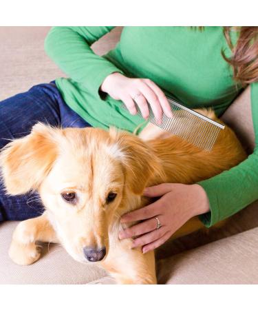 Stainless Steel Pet Grooming Comb for Dogs & Cats | Rounded Teeth Comb for All Sizes - 19x5 cm - Buy Online on GoSupps.com