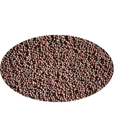 Eder Gew rze - Whole brown mustard seeds - 500 g - Buy Online on GoSupps.com