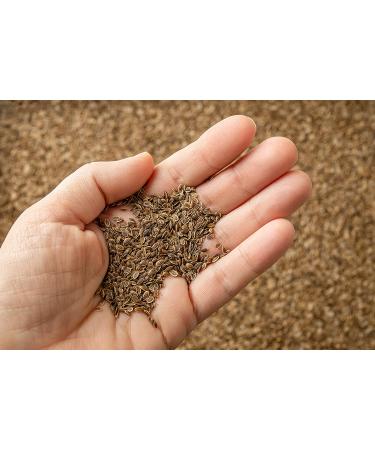 Dill Seeds 2 oz - Dried Whole Seeds for Pickling, Soups, Vegetables, Salads, and Pasta | Resealable Bag - Buy Online on GoSupps.com