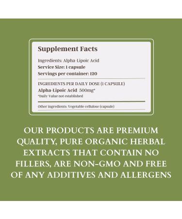 Alpha-Lipoic Acid 500mg - Non-GMO - Boost Energy & Mitochondria Support - 120 Servings (4 Months Supply) - International Shipping Available - Buy Online on GoSupps.com