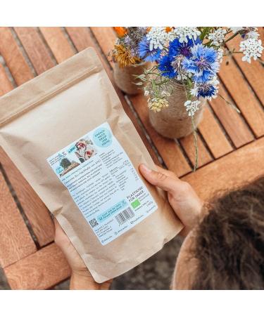 AHO Organic Sprouted Oatmeal 600g - Plastic-Free Muesli | Premium Quality from Germany & Austria - Buy Online on GoSupps.com