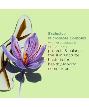 Clarins Purifying Toning Lotion | Less Oily Skin After 14 Days of Use* | Cleanses Hydrates Purifies Mattifies and Balances Skin's Microbiota | Contains Witch Hazel | Combination To Oily Skin Types 6.7 Fl Oz (Pack of 1) - Buy Online on GoSupps.com