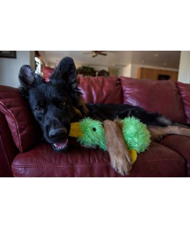 Multipet Duckworth Plush Dog Toy 13 - Assorted Colors | Durable & Fun Toy for Dogs - Buy Online on GoSupps.com