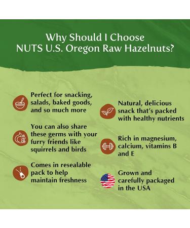Oregon Hazelnuts (Filberts) | Raw, Unsalted, JUMBO SIZE | Steam Pasteurized, NON-GMO | No Shell, Just Kernels | 1 LB Packed in Resealable Bag - Buy Online on GoSupps.com