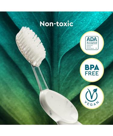 Radius Original Toothbrush for Left-Handers - 3 Pack | Eco-Friendly and Ergonomic Design for Optimal Oral Care - Buy Online on GoSupps.com