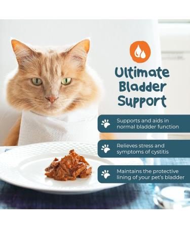 PetExx Urinary Boost 30 Tablets - UTI & Cystitis Treatment for Cats & Dogs | UK-Made UT Health Support - Buy Online on GoSupps.com